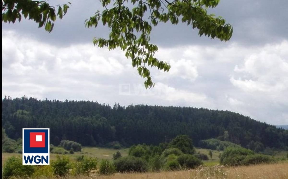 Ostatnia działka w osiedlu, media, blisko Polanicy - polecam! Stary Wielisław, Stary Wielisław, Polanica Zdrój  13 441m2 Foto 1