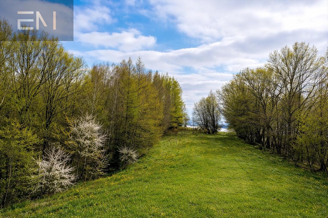Działka rolna 42 arów - prywatność i spokój w Niepli Niepla  4 215m2 Foto 1