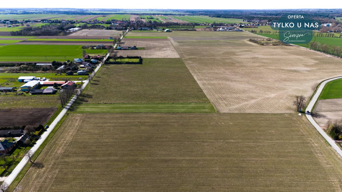 Działka rolna na sprzedaż Czarnocin, Juliusza Poniatowskiego  5 800m2 Foto 4