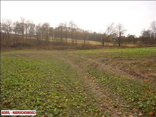 Działka rolna 2,1 ha z linią brzegową i mediami Pieniężno  21 057m2 Foto 1