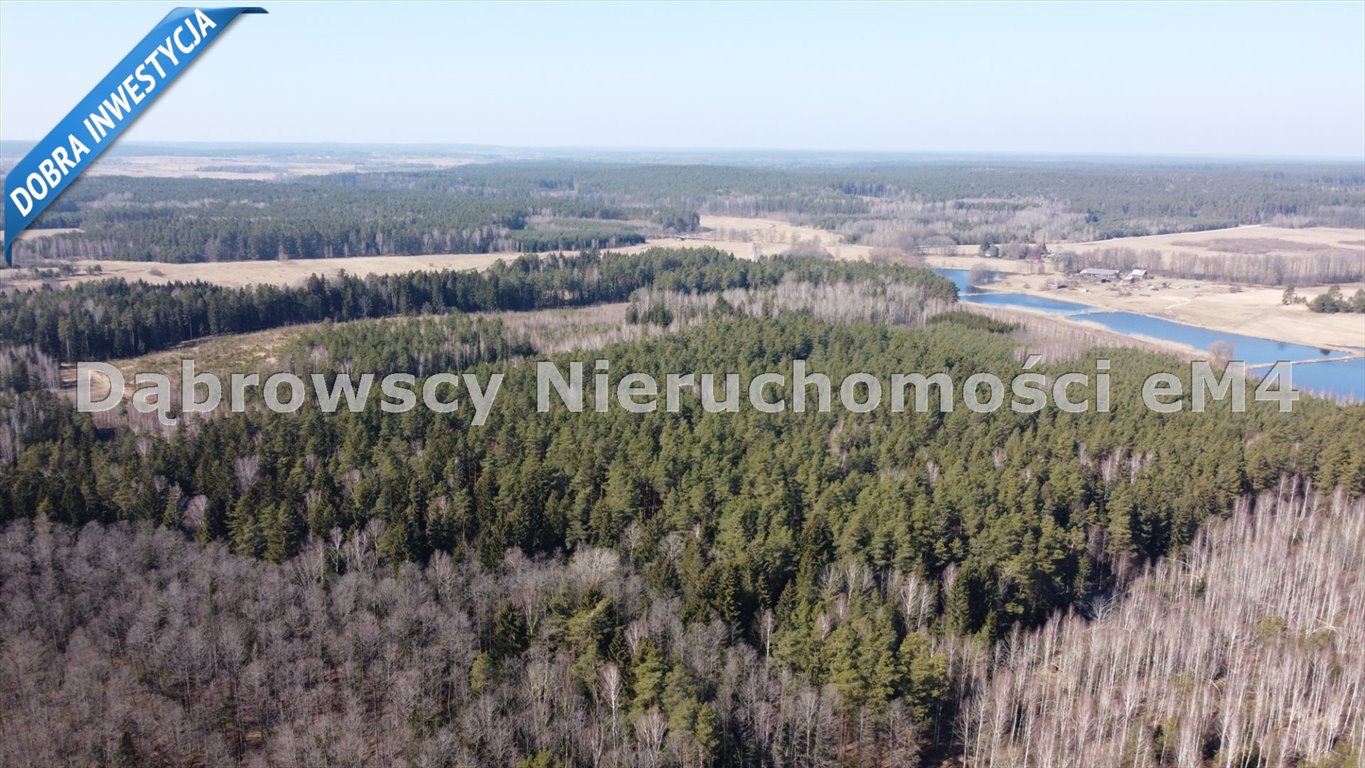 Działka rolna na sprzedaż Gródek  3 368m2 Foto 13