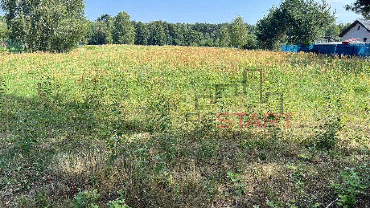 Działka budowlana na sprzedaż Józefów  5 025m2 Foto 11