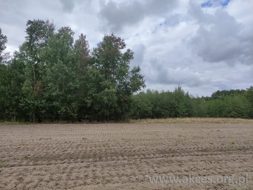 Działka budowlana na sprzedaż Świerkowo  1 542m2 Foto 1