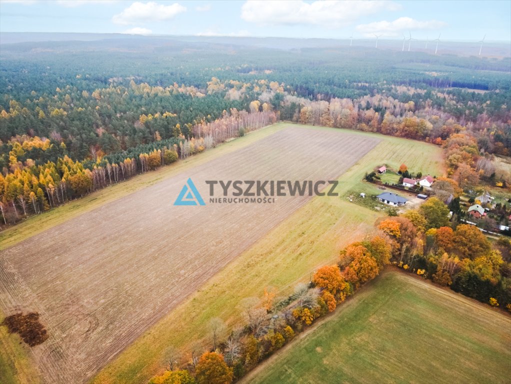 Działka siedliskowa na sprzedaż Szczenurze  3 428m2 Foto 3