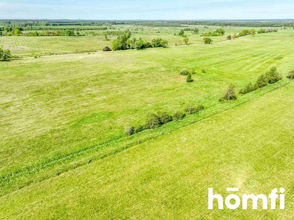 Działka budowlana na sprzedaż Szczenurze, Łebska  50 000m2 Foto 12