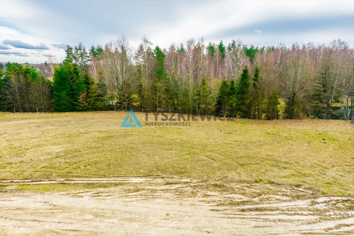 Działka budowlana na sprzedaż Łąkie, Cechyny  3 003m2 Foto 8