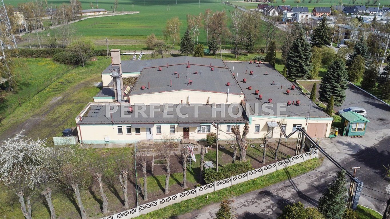 Lokal użytkowy na sprzedaż Paczkowo  1 556 970m2 Foto 10