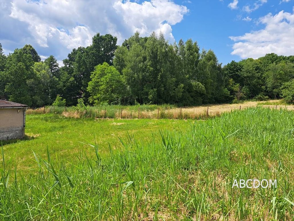 Działka budowlana z widokiem na las i wzgórza, 1590 m2 Pawlikowice, Pawlikowice  1 590m2 Foto 1