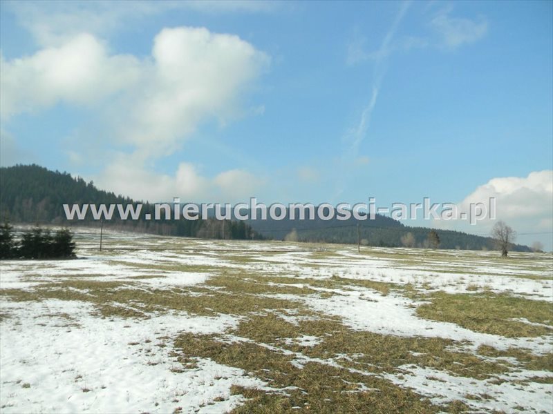 Działka budowlana na sprzedaż Wilczyce 2 400m2 Foto 1 Działka budowlana na sprzedaż Wilczyce 2 400m2 Foto 1