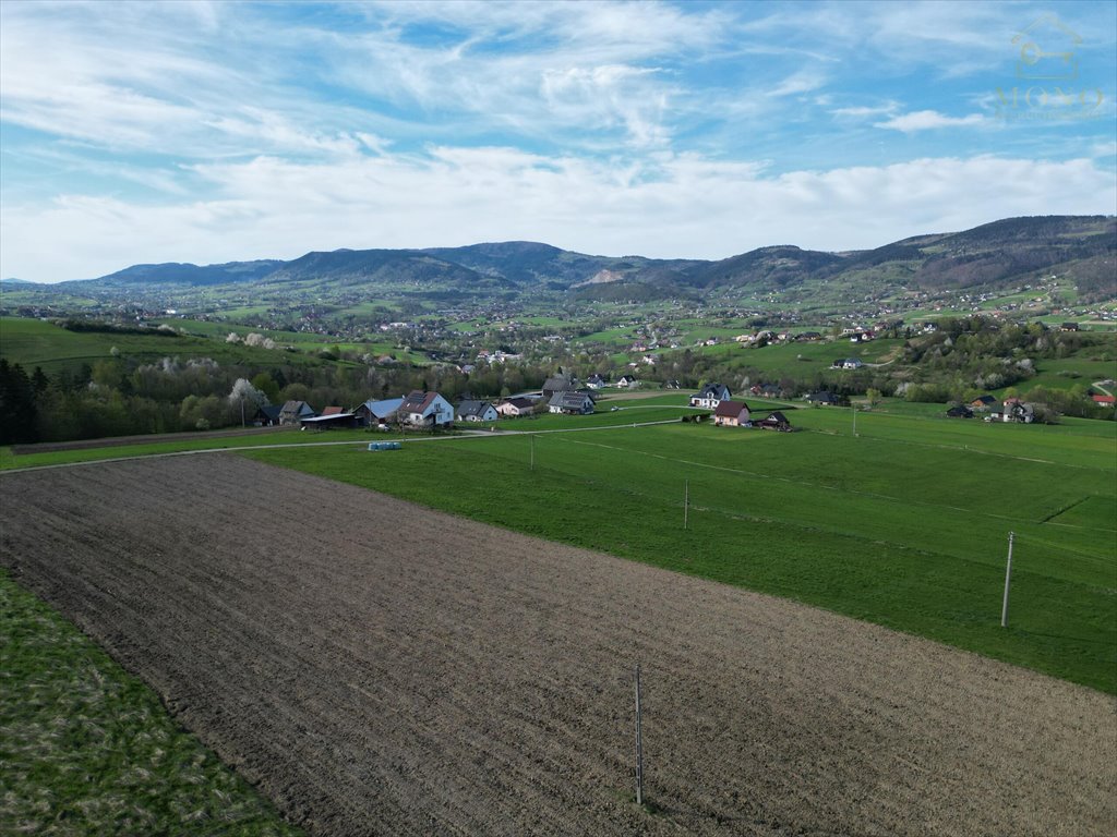 Działka rolna na sprzedaż Krasne Potockie  8 200m2 Foto 11