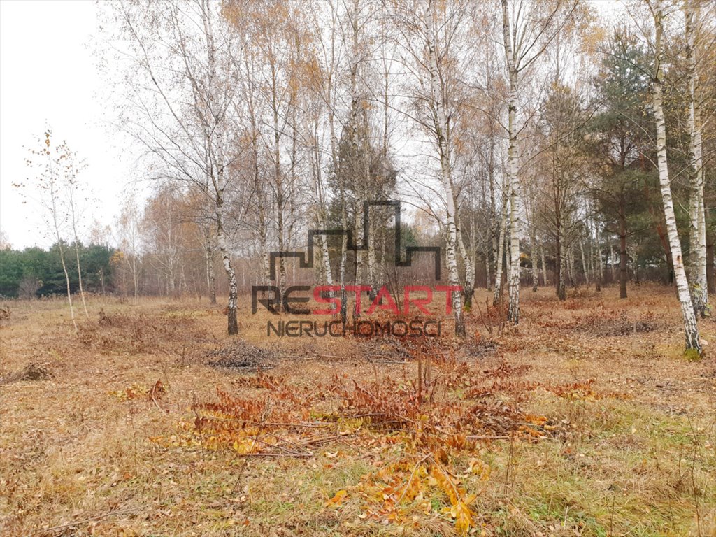 Działka budowlana na sprzedaż Osowiec  1 230m2 Foto 7