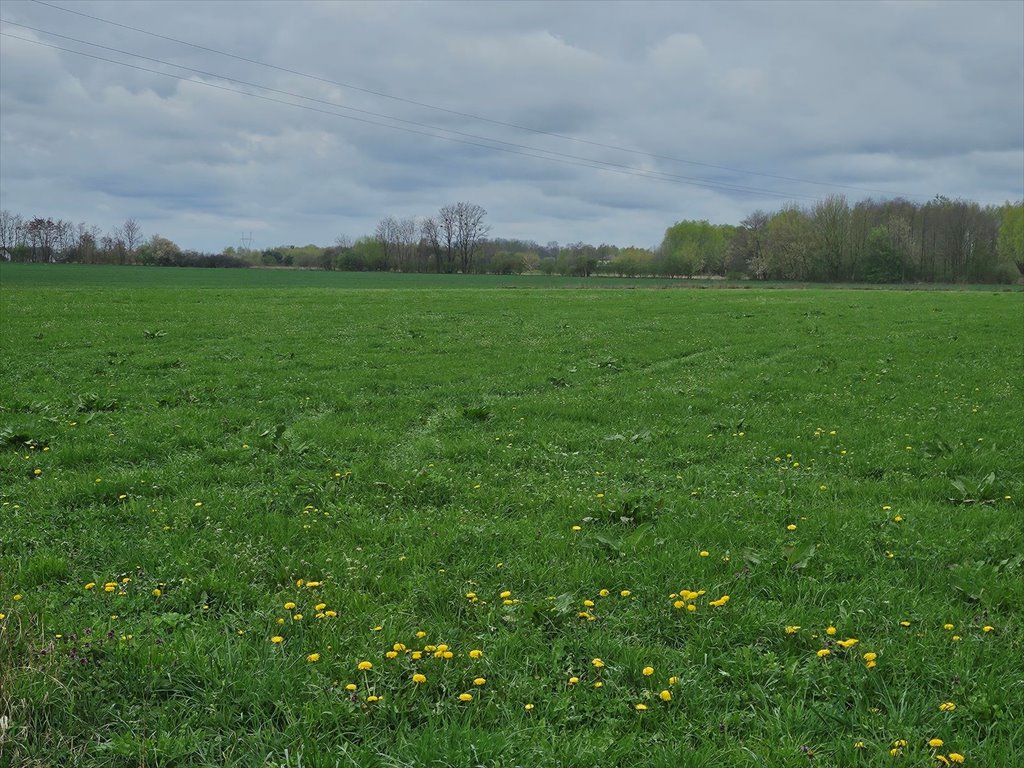 Działka siedliskowa na sprzedaż Nowe Gnatowice  3 000m2 Foto 6