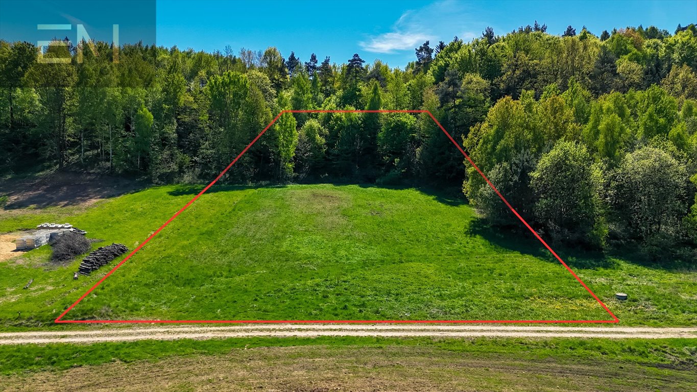 Działka z własnym lasem i widokiem, 53 ar, Krasna Krasna  5 300m2 Foto 1