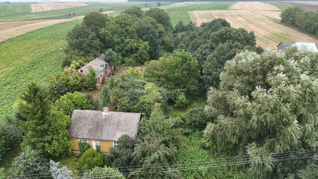 Działka inna na sprzedaż Telatyn, św. Anny  8 800m2 Foto 6