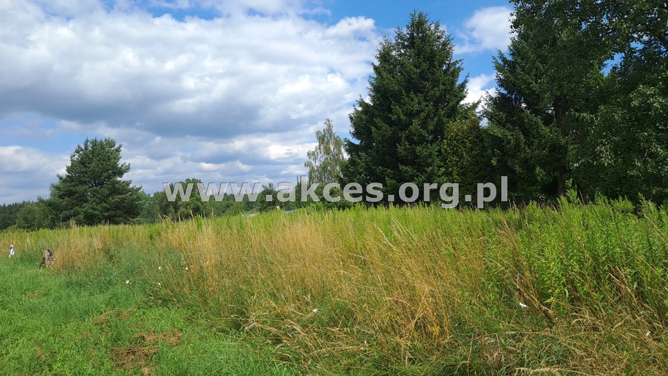 Działka budowlana na sprzedaż Tomice  13 600m2 Foto 7