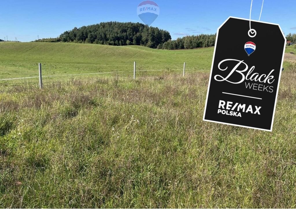 Działka rolna na sprzedaż Dudki  3 094m2 Foto 1