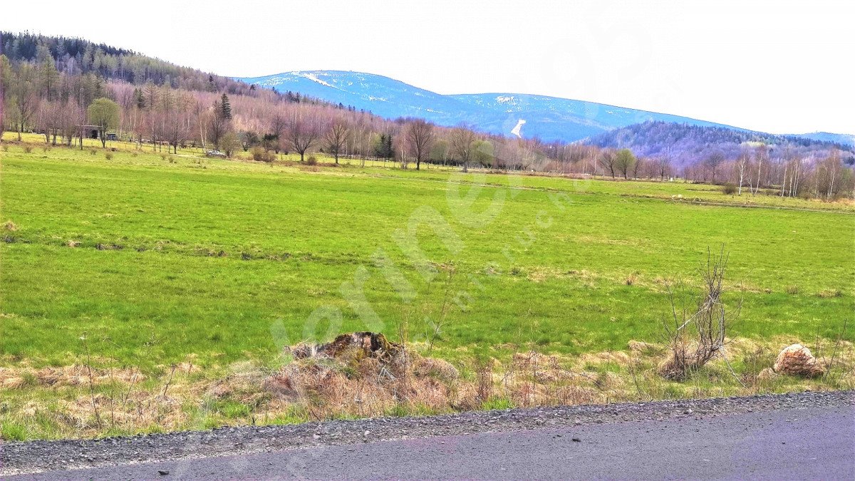 Działka rolna na sprzedaż Świeradów-Zdrój  3 000m2 Foto 1