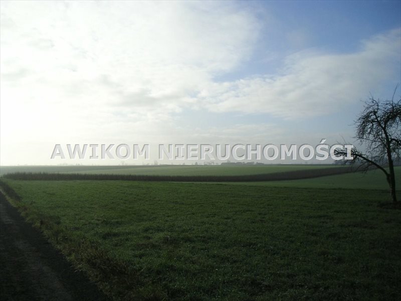 Działka 4400 m² z widokami i dostępem do mediów Nowy Kawęczyn  4 400m2 Foto 1