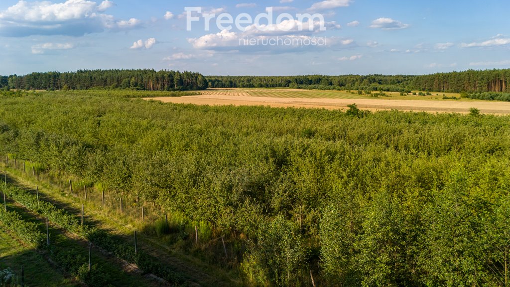 Działka rolna na sprzedaż Mirowice, Sosnowa  27 089m2 Foto 3