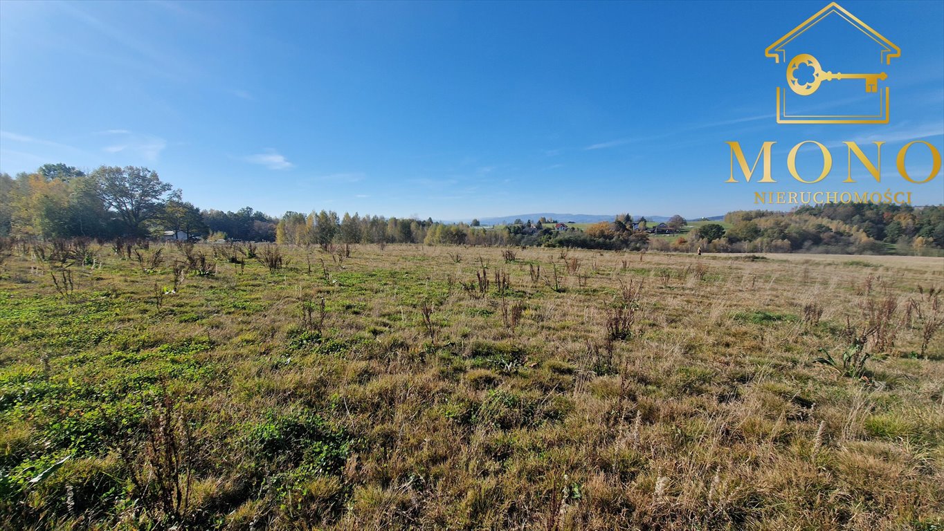 Działka rolna na sprzedaż Korczyna  15 400m2 Foto 14