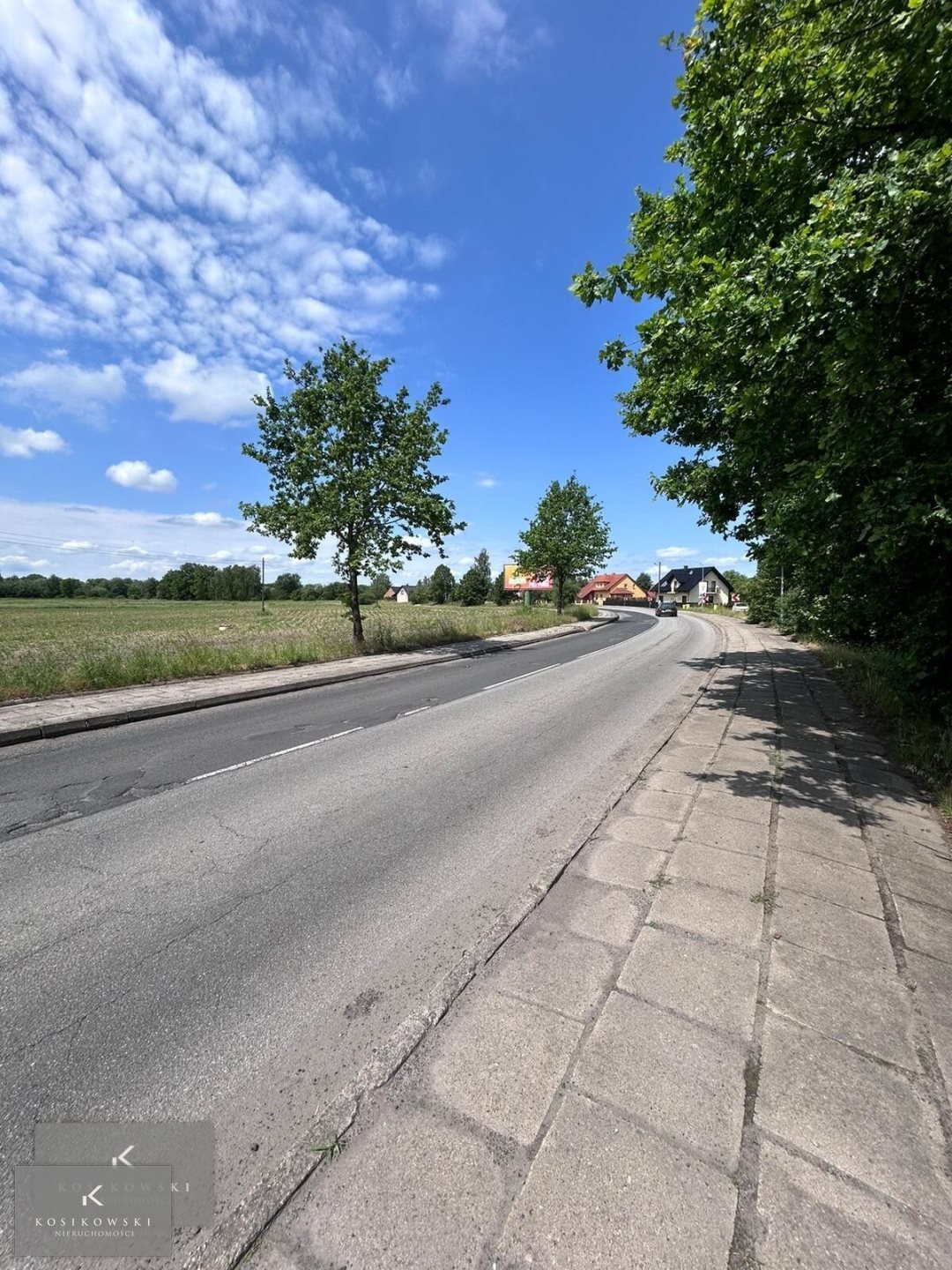 Zdjęcie 2
