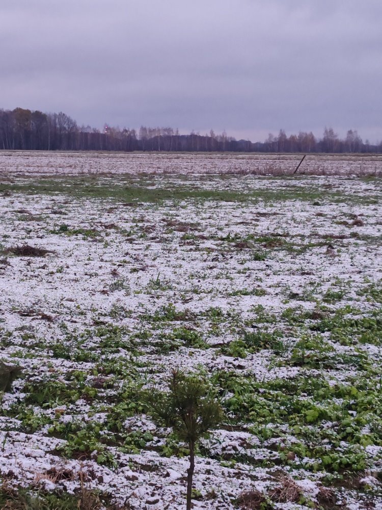 Działka siedliskowa na sprzedaż Dębowiec, Dębowiec  3 025m2 Foto 8