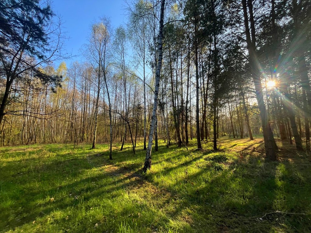 Działka budowlana na sprzedaż Duranów  1 004m2 Foto 1