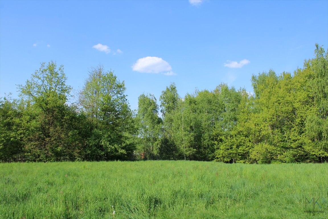 Działka budowlano-leśna z dostępem do strumyka, 50 arów Kamionna  5 000m2 Foto 1