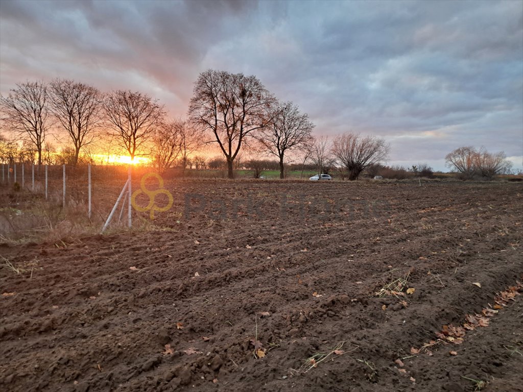 Działka budowlana na sprzedaż Brody  1 000m2 Foto 1