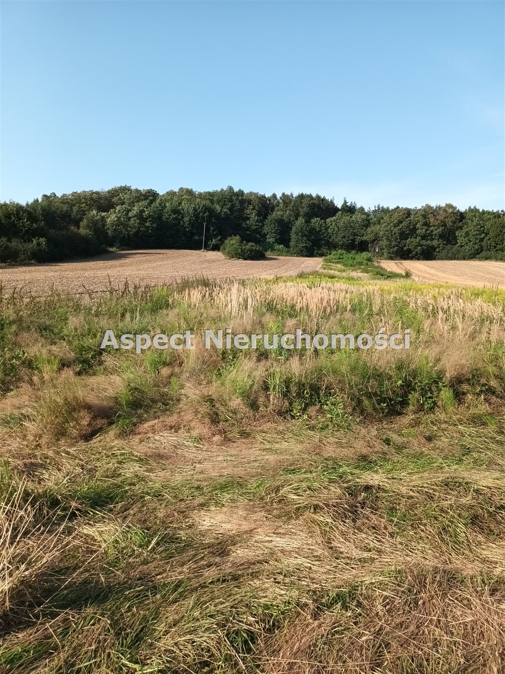 Działka rolna na sprzedaż Godów  4 908m2 Foto 2