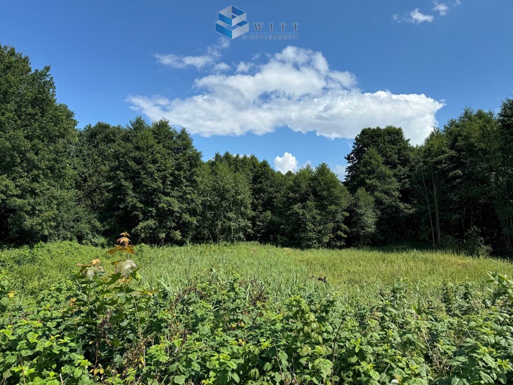 Działka budowlana na sprzedaż Grabin  9 600m2 Foto 2