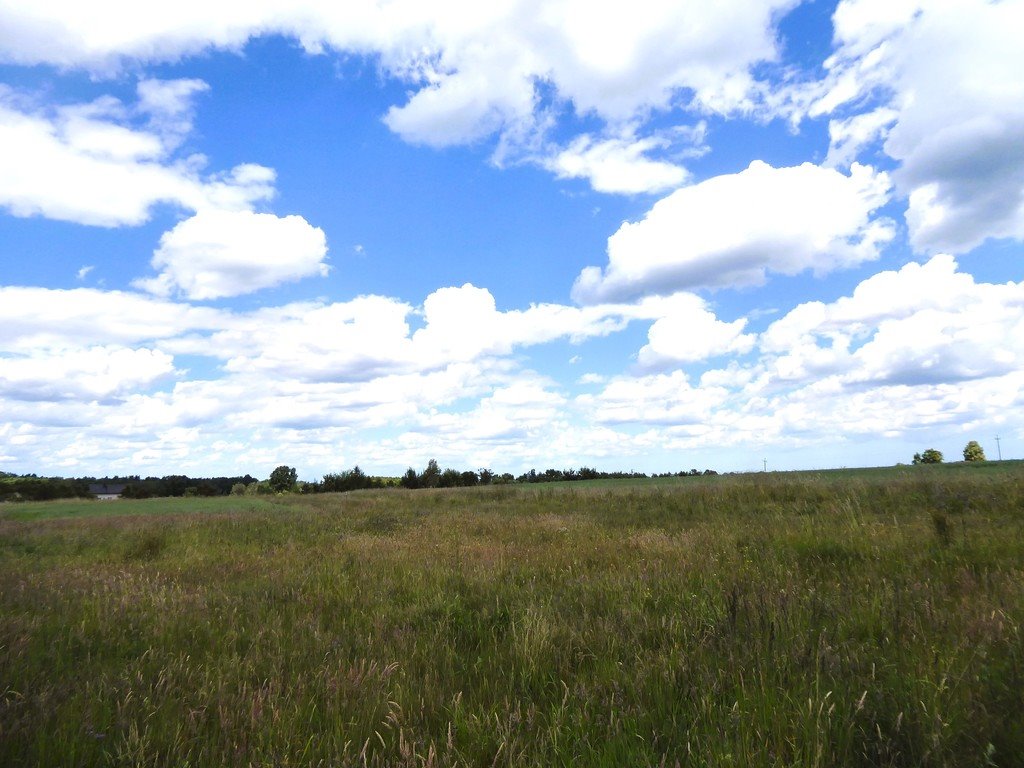 Działka budowlana na sprzedaż Borcz, Spokojna  1 292m2 Foto 16