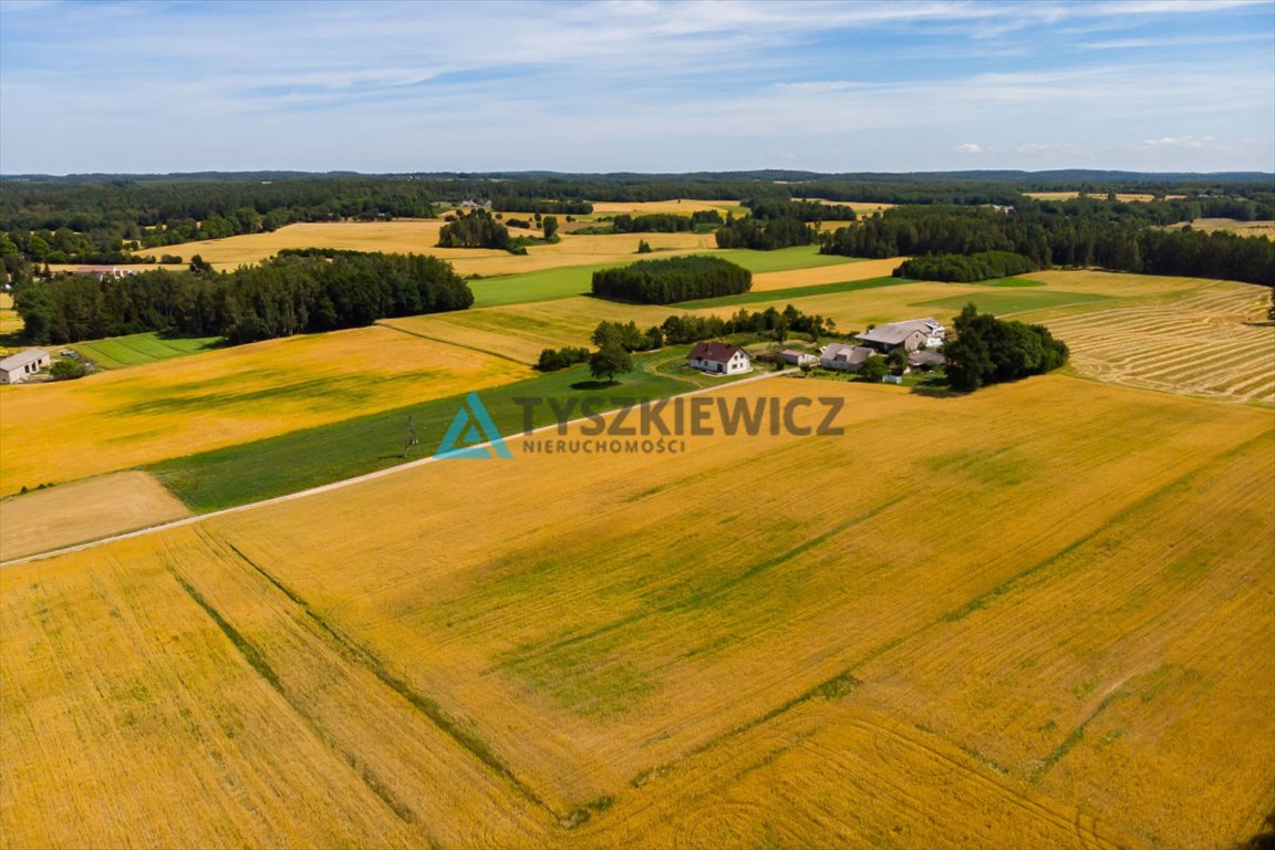 Działka siedliskowa na sprzedaż Szatarpy  56 000m2 Foto 7