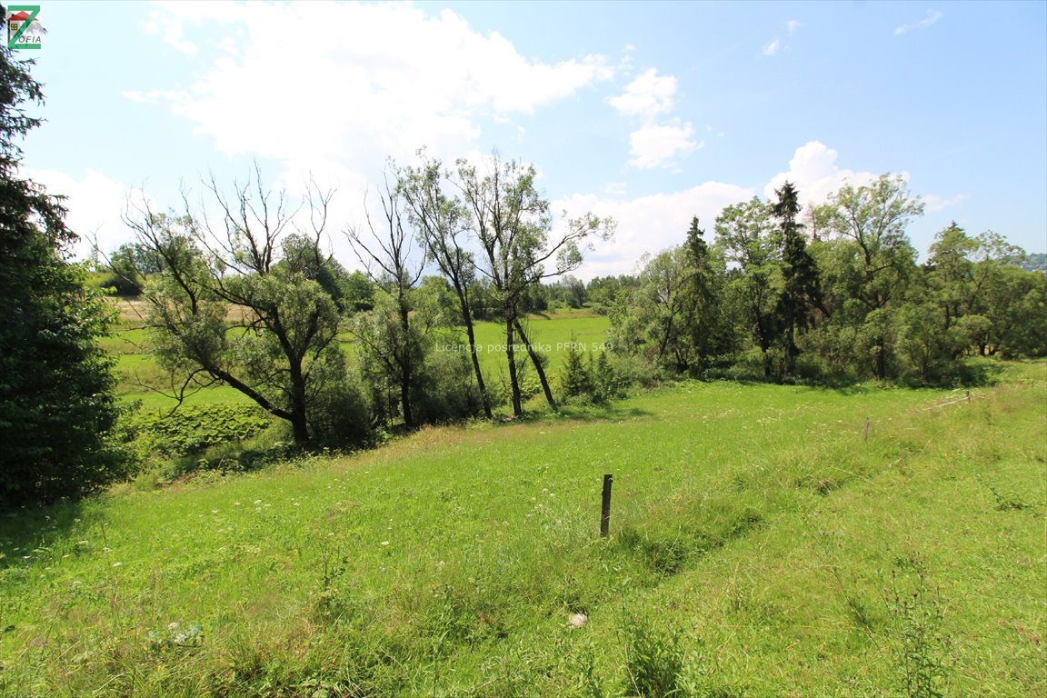 Działka rolna na sprzedaż Czarna Góra  1 750m2 Foto 2