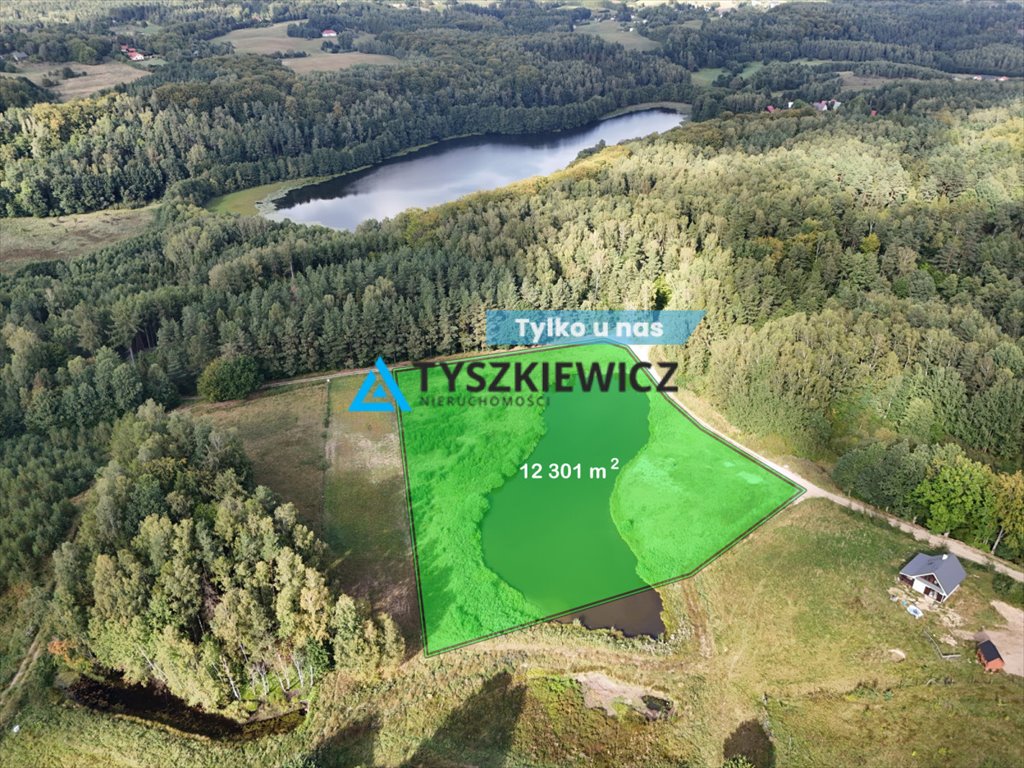 Działka siedliskowa na sprzedaż Mierzeszyn  12 301m2 Foto 1