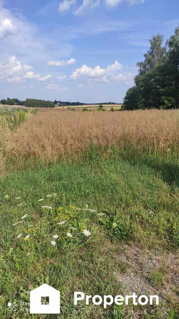 Działka budowlana na sprzedaż Snopków  1 500m2 Foto 2