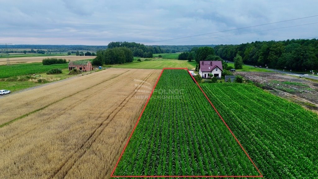 Działka budowlana na sprzedaż Paniówki, Skotnicka  2 500m2 Foto 7