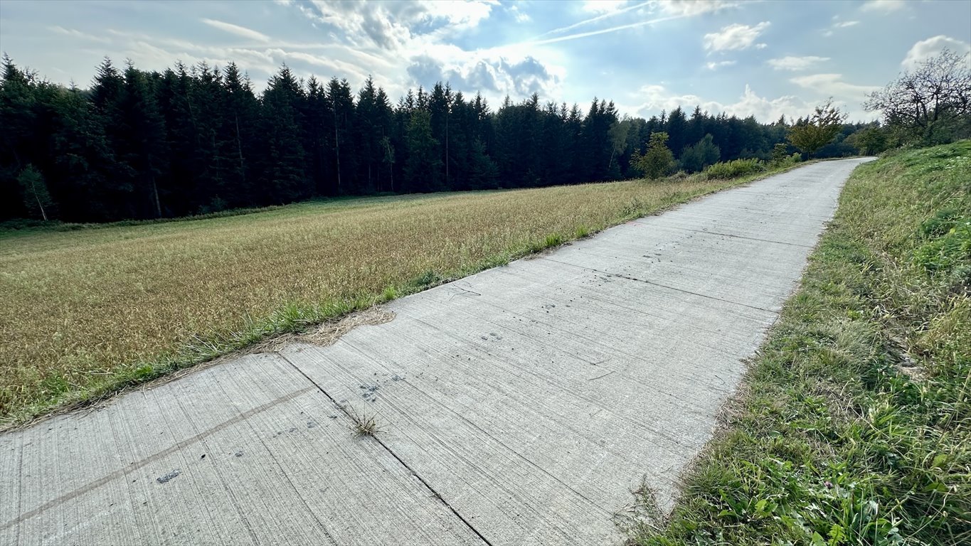 Działka budowlana na sprzedaż Bartkowa-Posadowa  1 836m2 Foto 11