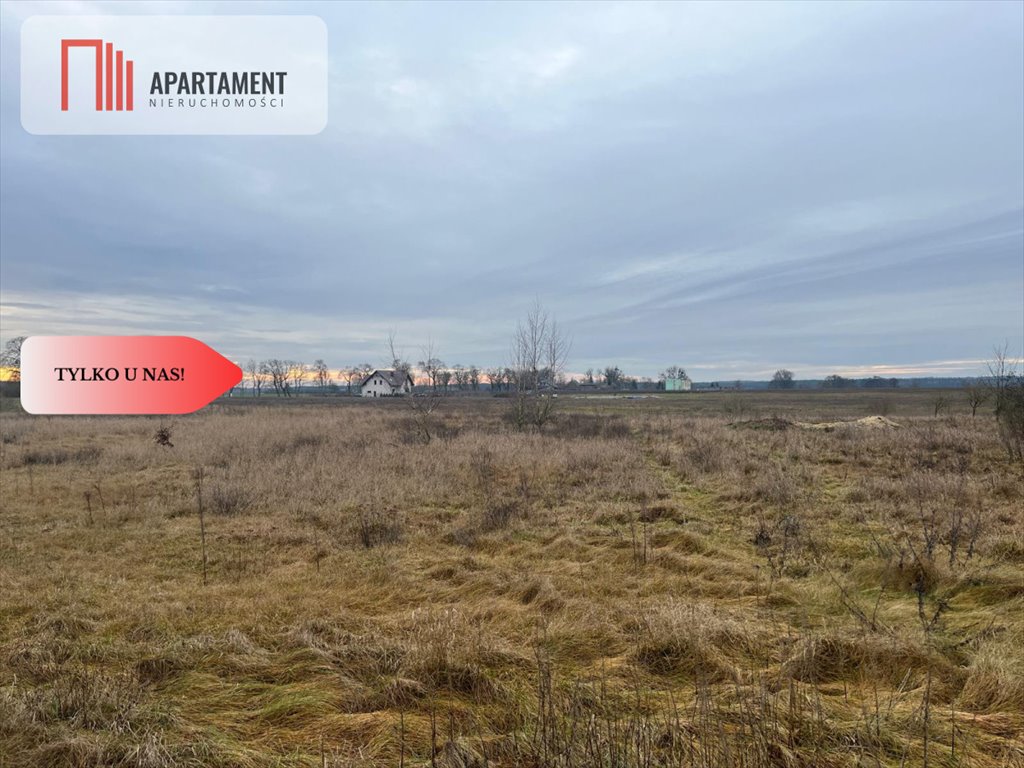 Działka budowlana na sprzedaż Olek  2 300m2 Foto 3