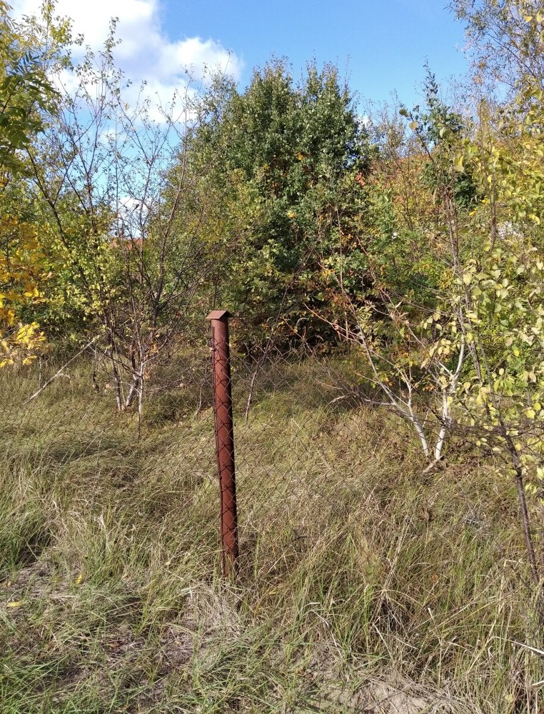 Działka budowlana na sprzedaż Kampinos A, Konwaliowa  731m2 Foto 3