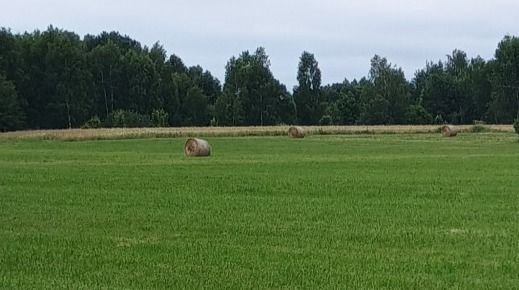 Działka budowlana na sprzedaż Rogówek  820m2 Foto 2