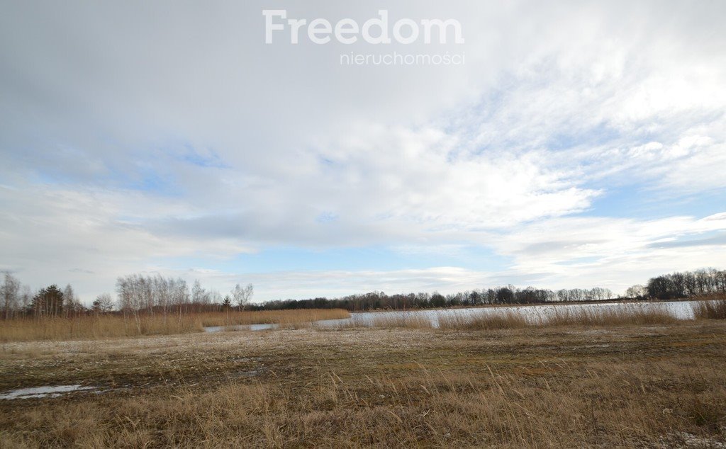 Działka inwestycyjna na sprzedaż Brzeziny  520 000m2 Foto 12