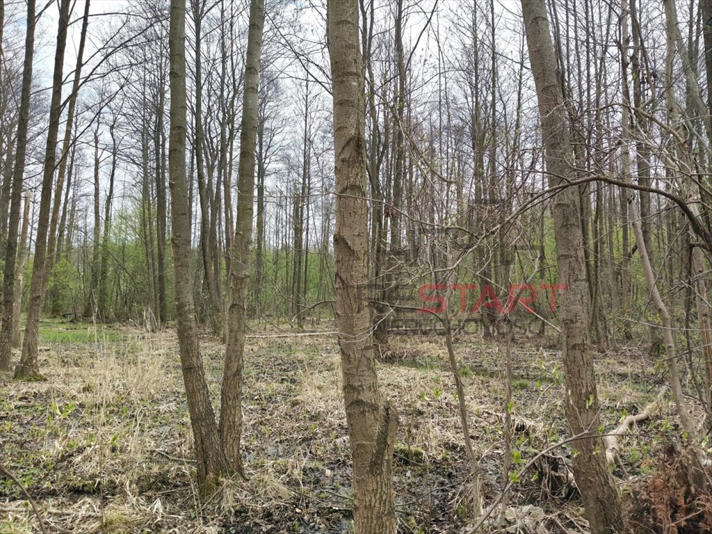 Działka 3469 m² z potencjałem inwestycyjnym i pięknym klimatem Adamowizna  3 469m2 Foto 1