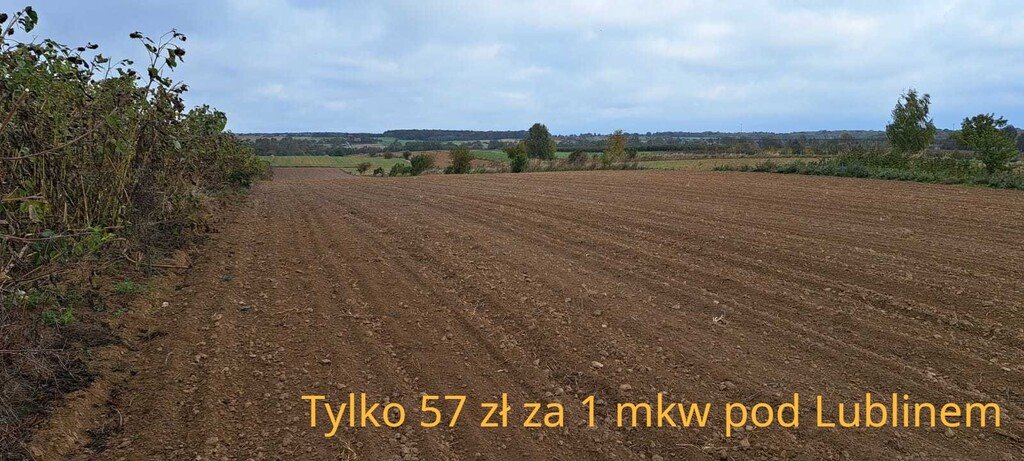 Działka rolno-budowlana 10 477 m² z mediami, Jastków Panieńszczyzna  10 477m2 Foto 1