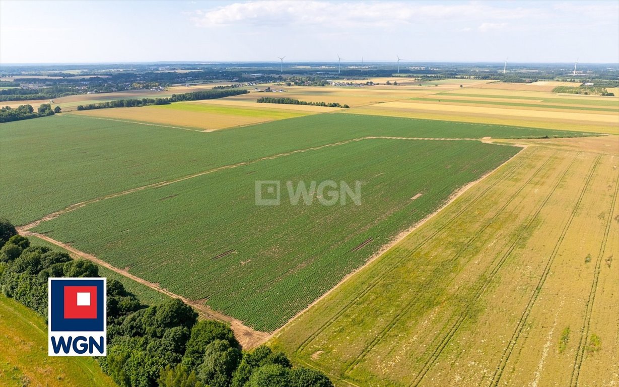 Działka budowlana na sprzedaż Słupsk, Stanisława Szpilewskiego  3 485m2 Foto 8