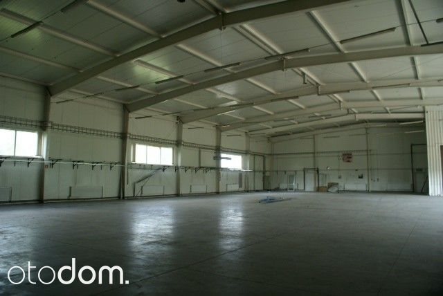 Lokal użytkowy na wynajem Wrocław, Grabiszynek 3 300m2 Foto 1 Lokal użytkowy na wynajem Wrocław, Grabiszynek 3 300m2 Foto 1