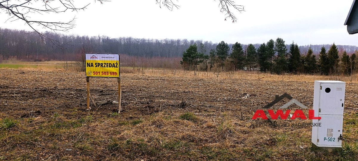 Działka budowlana na sprzedaż Darzlubie, Pucka  2 800m2 Foto 15