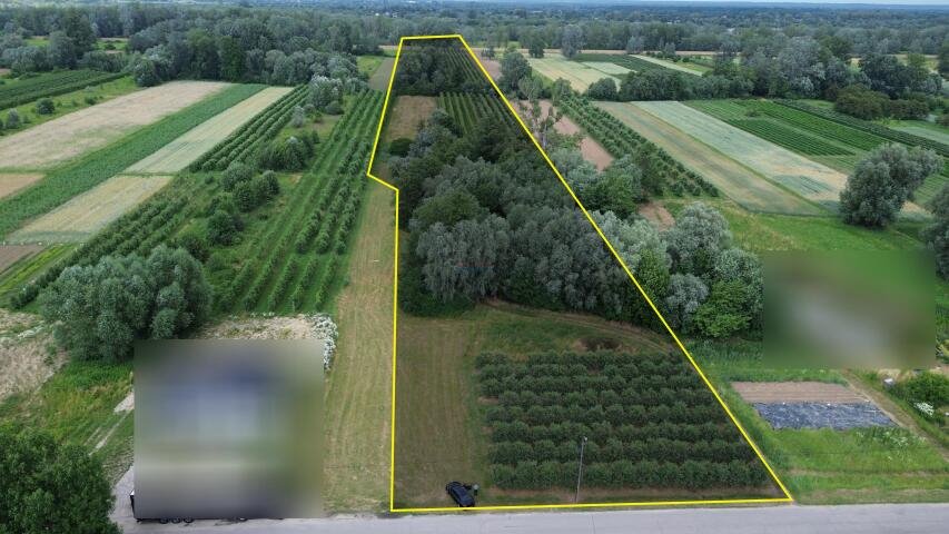 Działka 4,4 ha z zabudową zagrodową i sadem Dębówka  44 100m2 Foto 1