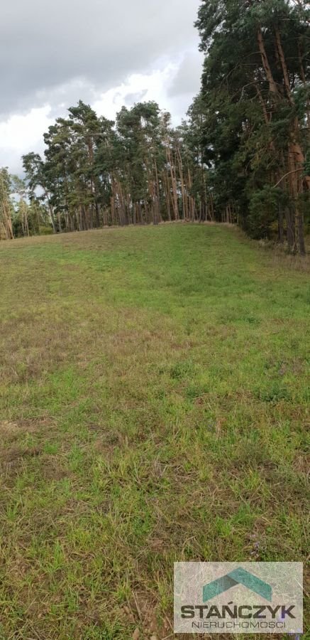 Działka rolna na sprzedaż Sieraków  16 000m2 Foto 1