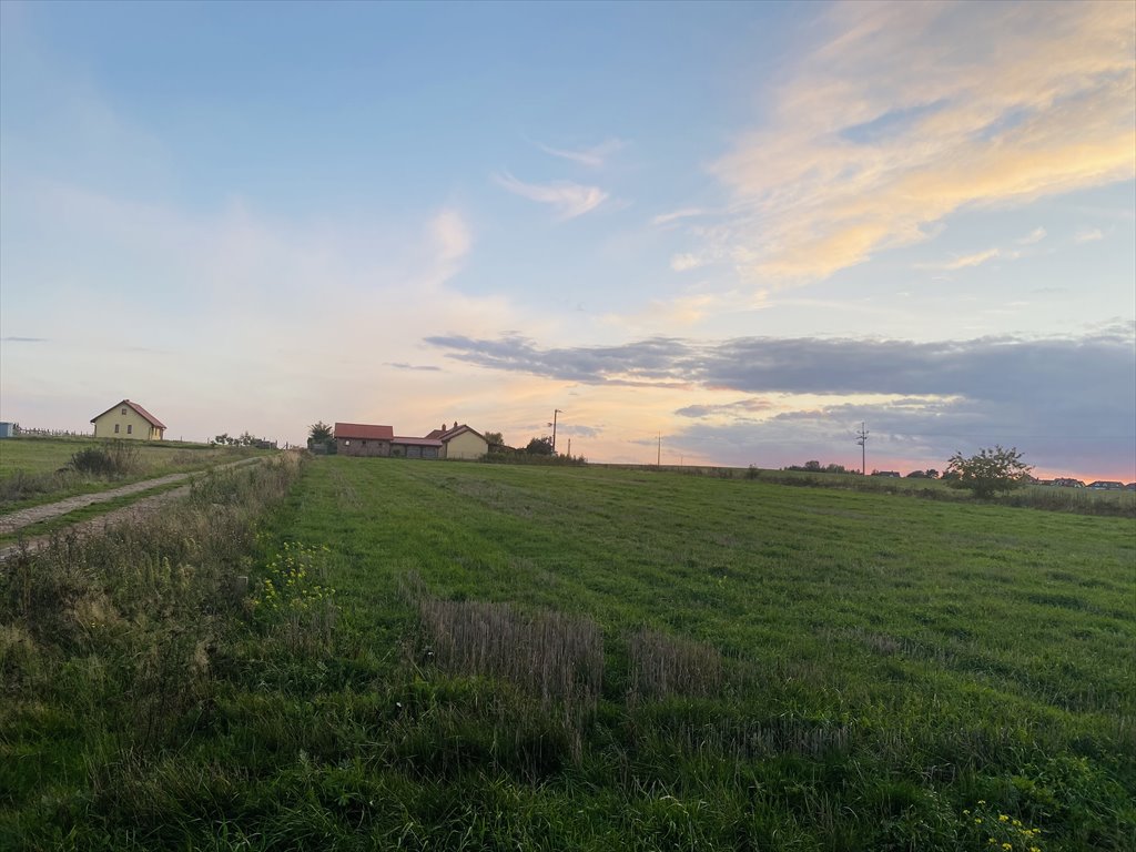 Działka budowlana 3000 m² z pozwoleniem, cisza i zieleń Wołczkowo, Łanowa  3 000m2 Foto 1